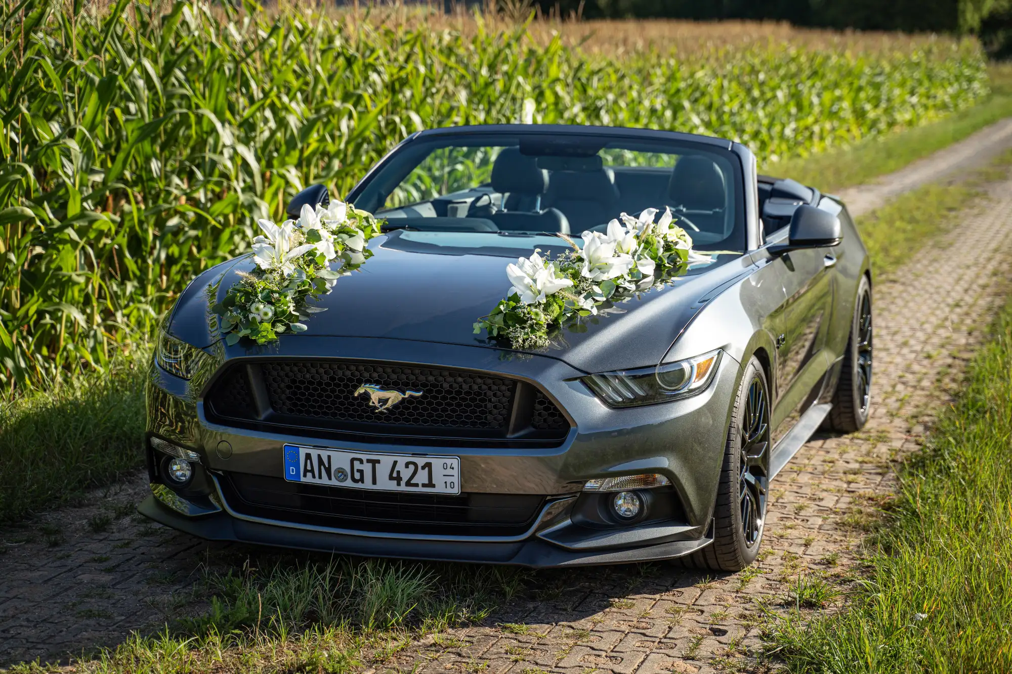 Ford Mustang GT Cabrio