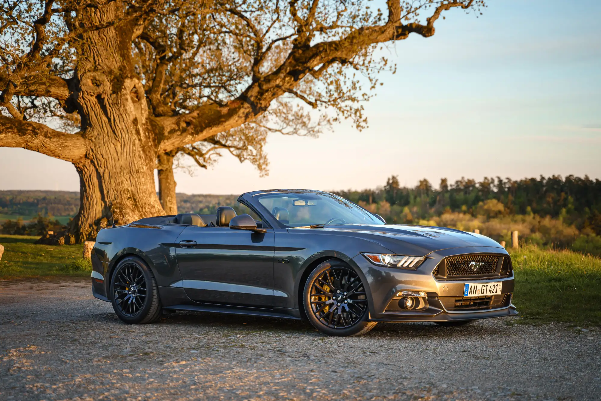 Ford Mustang GT Cabrio