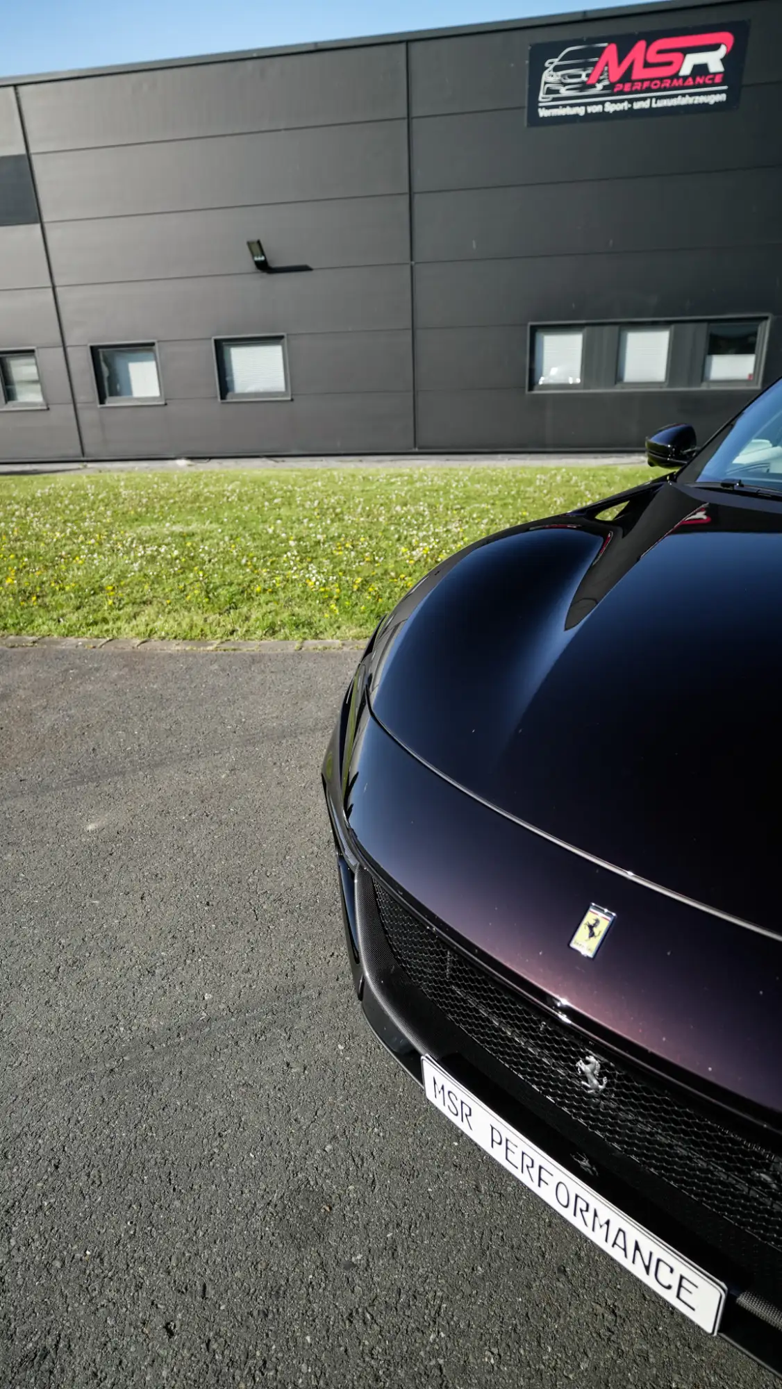 Ferrari Purosangue